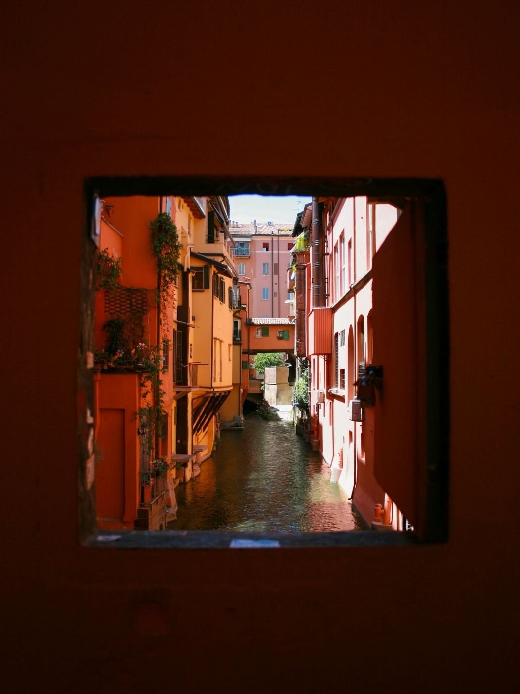 Bologna Highlights Finestrella di Via Piella