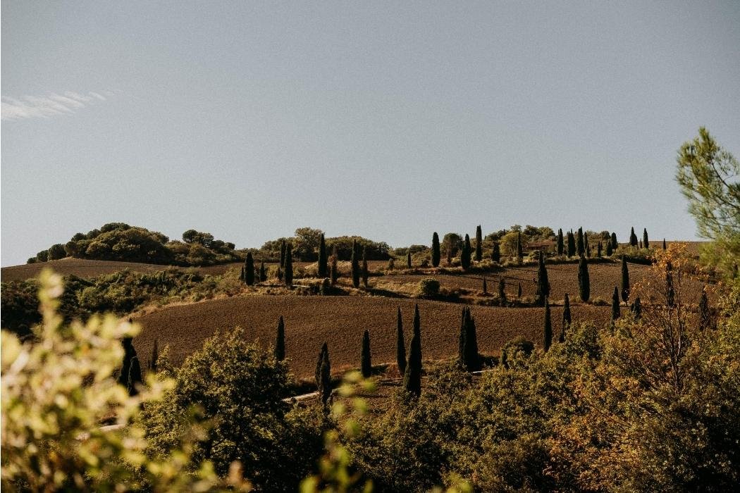 Vitalenta Agroboutique