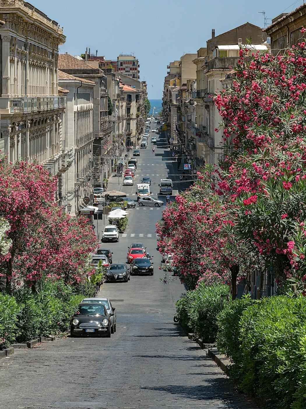 Catania Sehenswürdigkeiten