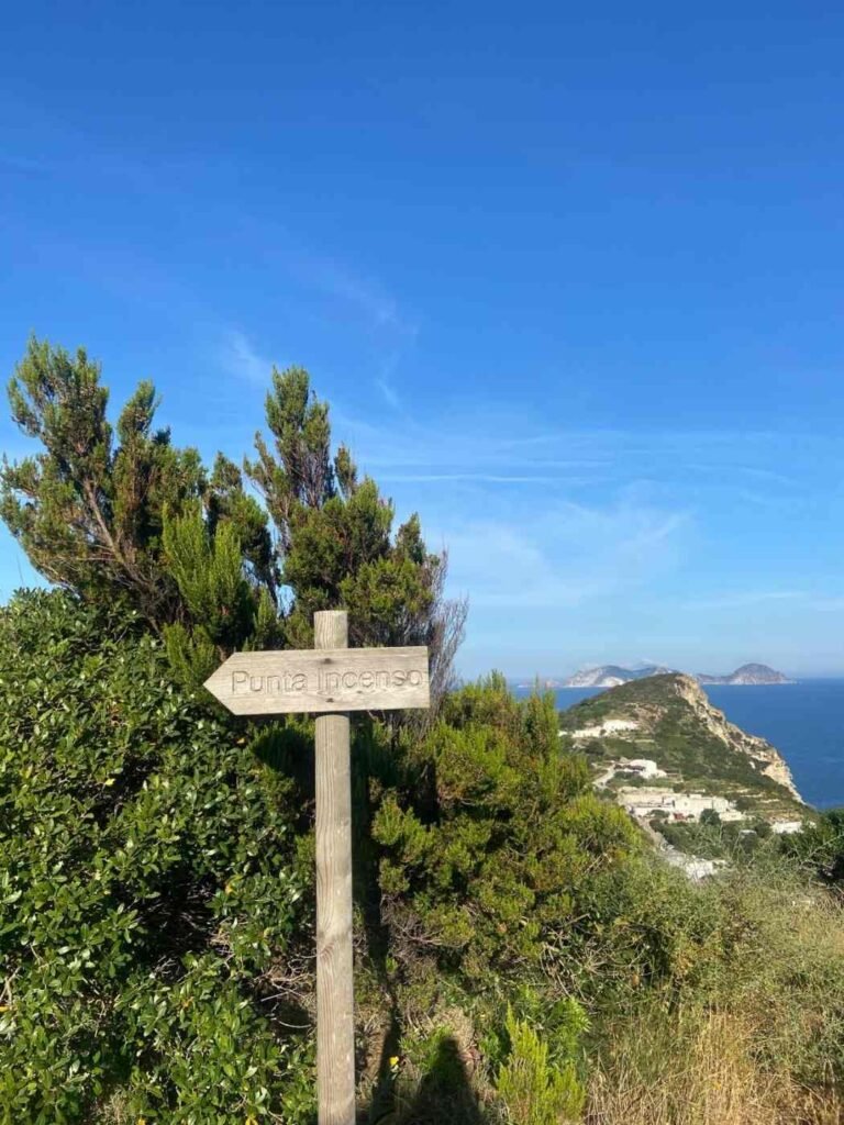 Ponza Tipps