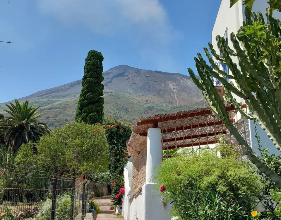 Gasse mit exotischen Pflanzen und weißen Hauswänden mit berg im Hintergrund