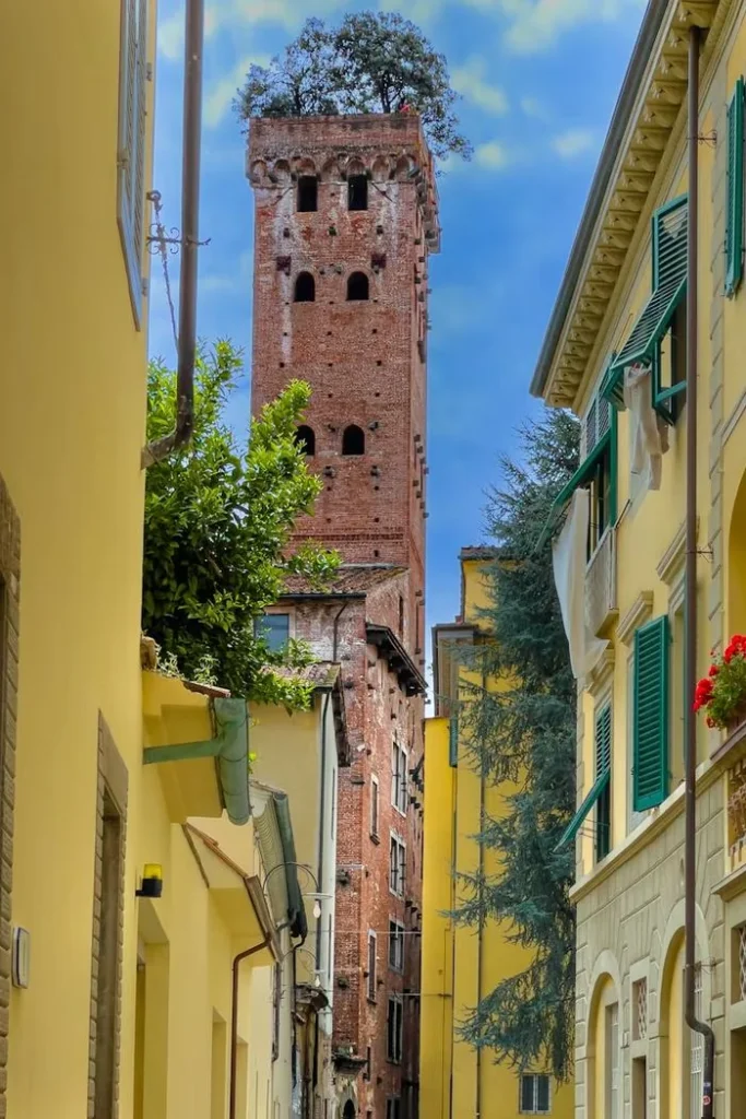 Torre Guinigi mit Steineichen auf dem Dach über einer Gasse in Lucca