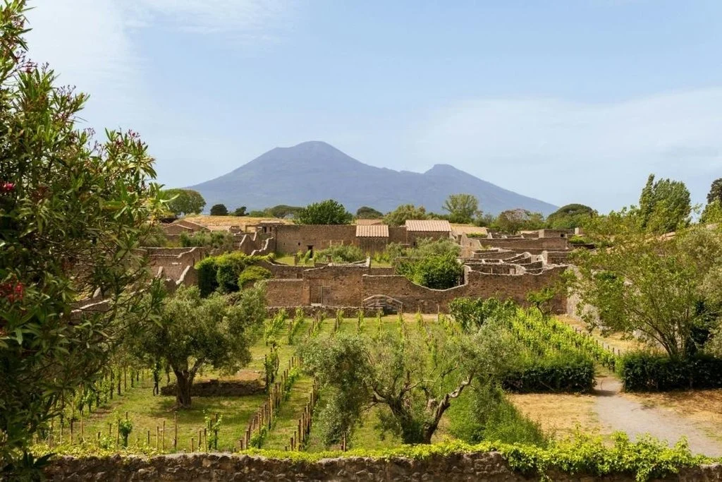 Gärten von Pompeji mit Vesuv im Hintergrund